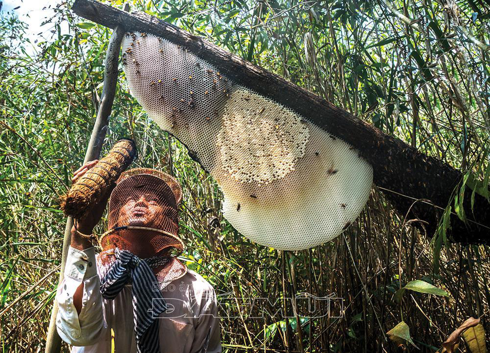 Cà Mau: Về U Minh Hạ thưởng thức sản vật đồng quê - Ảnh 1.