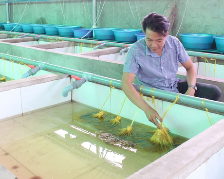Bỏ lương cao ở Nhật Bản trai Vĩnh Long về quê chỉ để &quot;nghịch nước&quot; nuôi lươn - Ảnh 1.