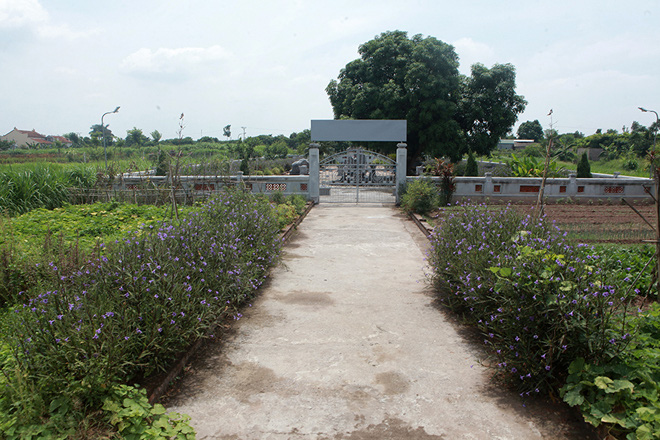 Khu lăng mộ bằng đá xanh quý hiếm giữa cánh đồng ở Hà Nội - Ảnh 1.