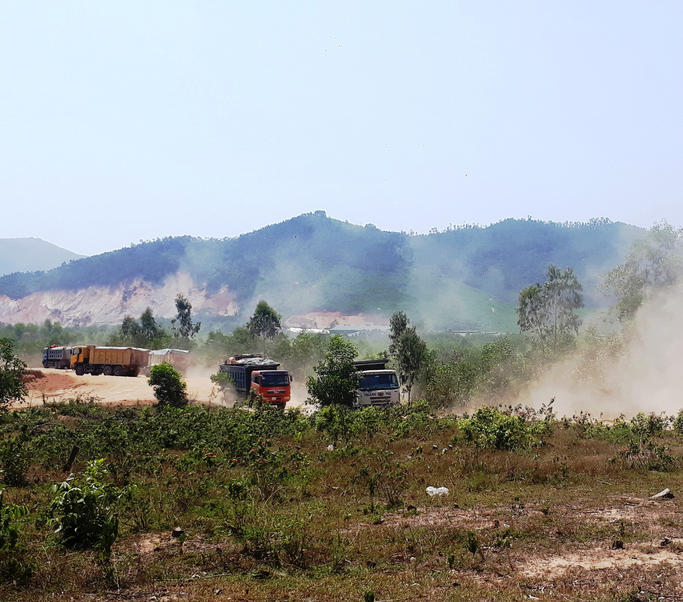 Doanh nghiệp khai thác đất trái phép, lãnh đạo Bình Định chỉ đạo họp kiểm điểm, kỷ luật Chủ tịch, địa chính xã  - Ảnh 1.