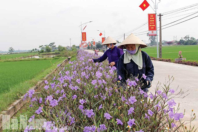 Hà Nam xây dựng nông thôn mới: Đột phá về đích trước hẹn - Ảnh 5.