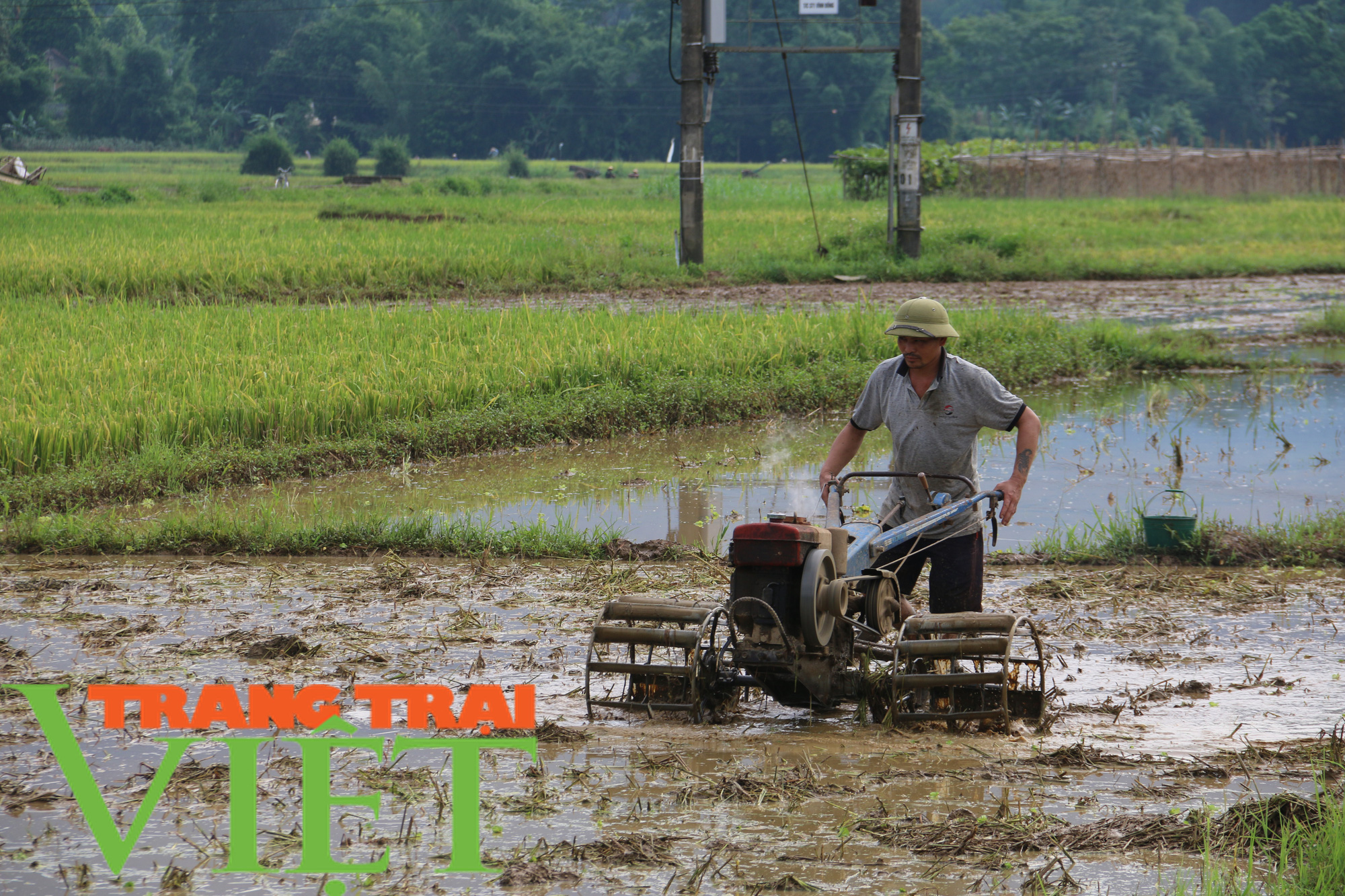 Kim Bôi xây dựng nông thôn mới gắn với phát triển kinh tế - Ảnh 1.