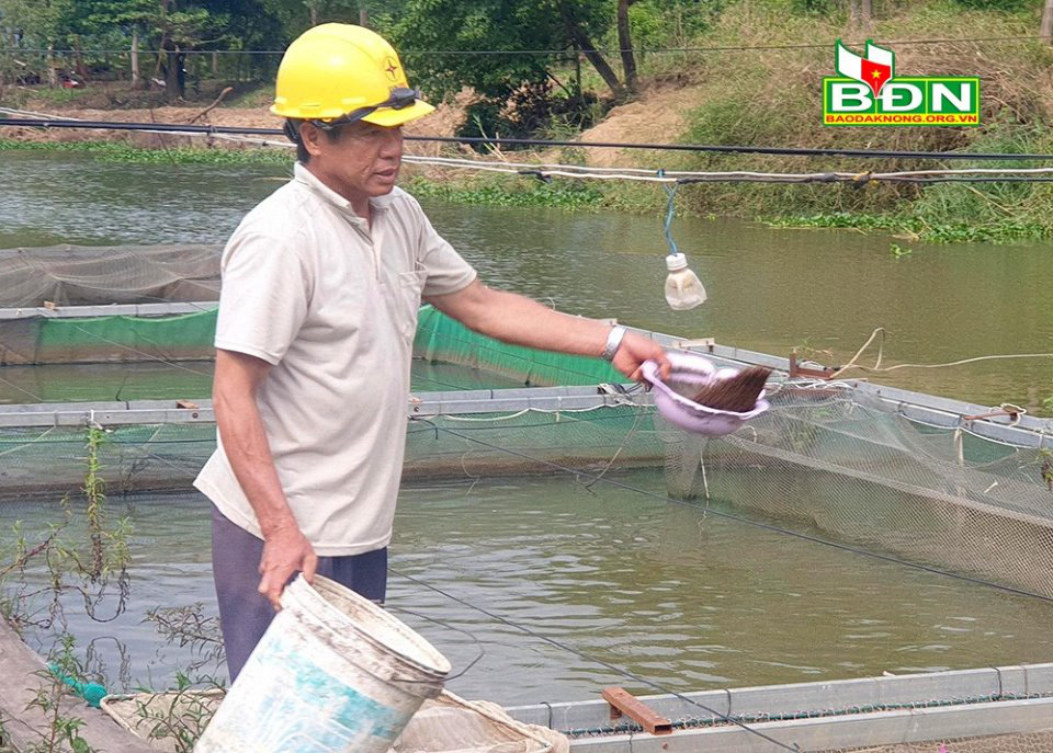 Đắk Nông: &quot;Liều&quot; thuần hoá, nuôi cá lăng đuôi đỏ ở dòng sông chảy ngược, bất ngờ thu 1/2 tỷ/năm - Ảnh 1.