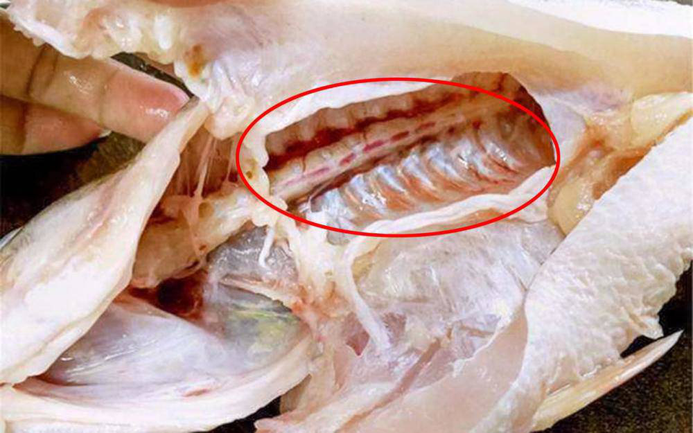 Bí quyết khử mùi tanh của cá không phải ai cũng biết  - Ảnh 3.