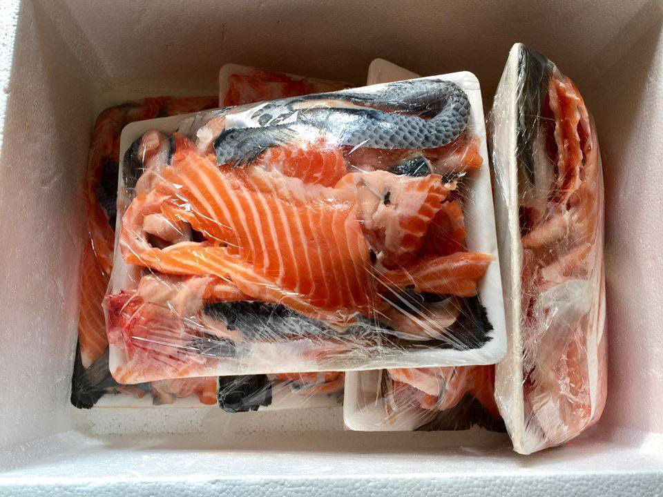 ảnh Sashimi Cá Hồi Tải Xuống Miễn Phí ảnh sashimi cá hồi hải sản đẹp  Trên Lovepik