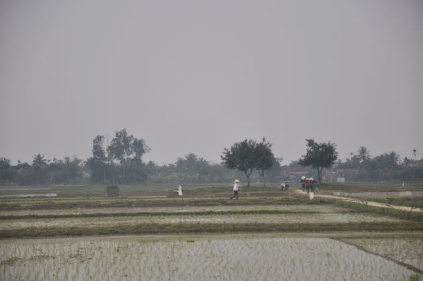 Cổ tích làng Hoành Sơn - Ảnh 4.