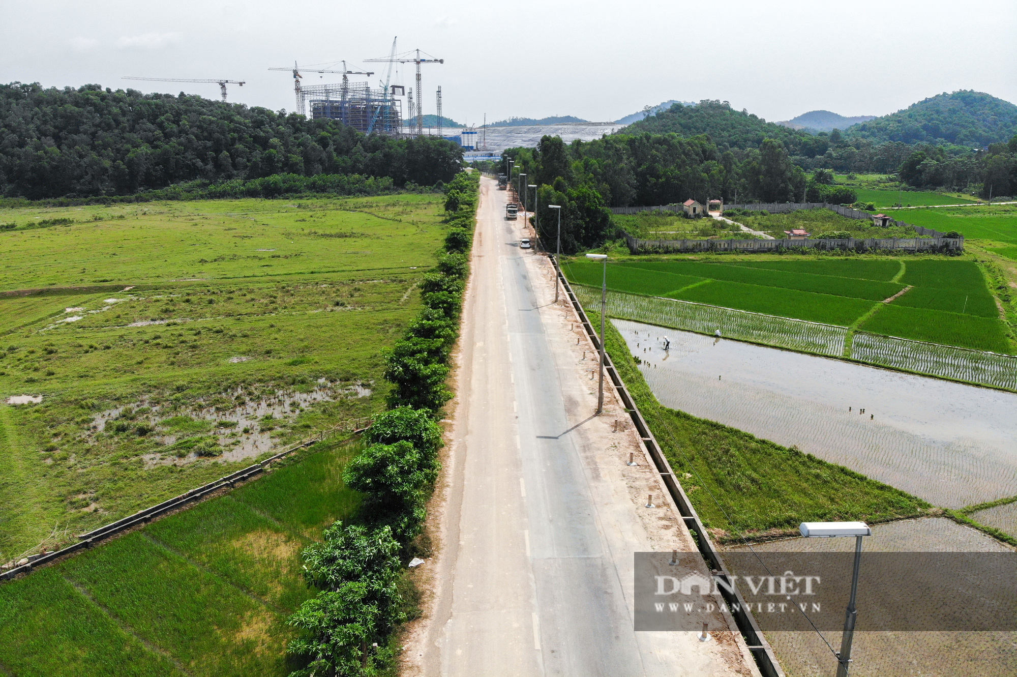 Gần 100 cây hoa sữa tươi tốt, đâm chồi nảy lộc sau một năm &quot;đến&quot; bãi rác Nam Sơn - Ảnh 2.