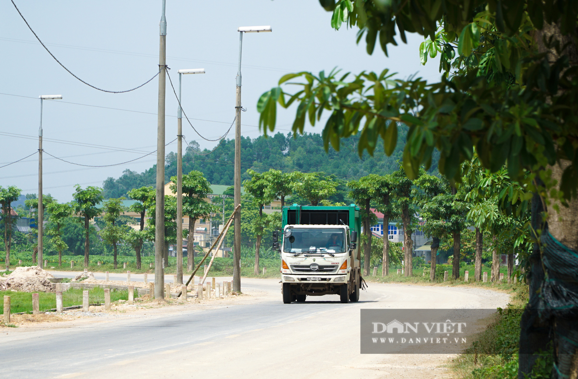 Gần 100 cây hoa sữa tươi tốt, đâm chồi nảy lộc sau một năm &quot;đến&quot; bãi rác Nam Sơn - Ảnh 10.