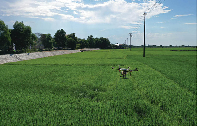 Nông nghiệp công nghệ cao: Đến Huế mà xem nông dân thuê máy bay không người lái làm việc này - Ảnh 2.