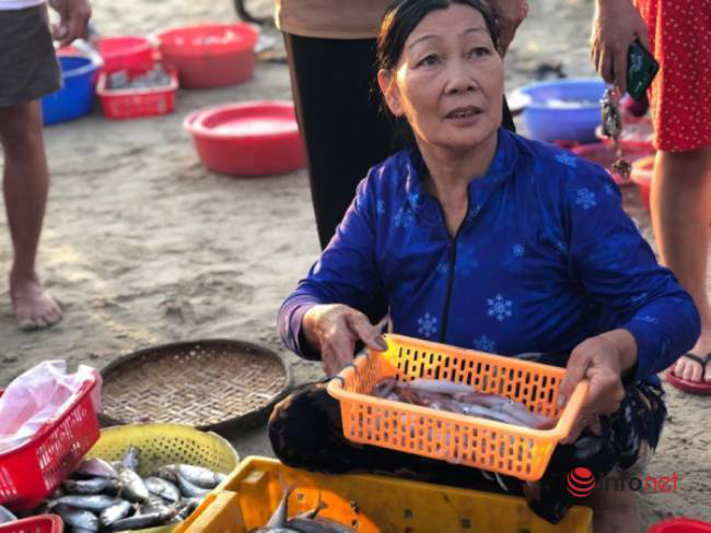 Khám phá chợ “mực nháy, cá nhảy” tờ mờ sáng ở Đà Nẵng - Ảnh 14.
