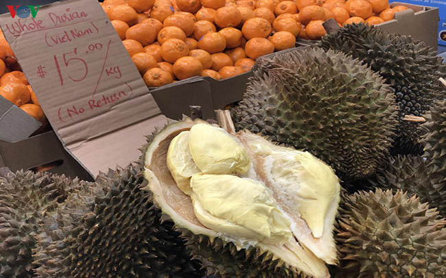 Sầu riêng Việt Nam lần đầu “lên kệ” siêu thị Australia - Ảnh 1.