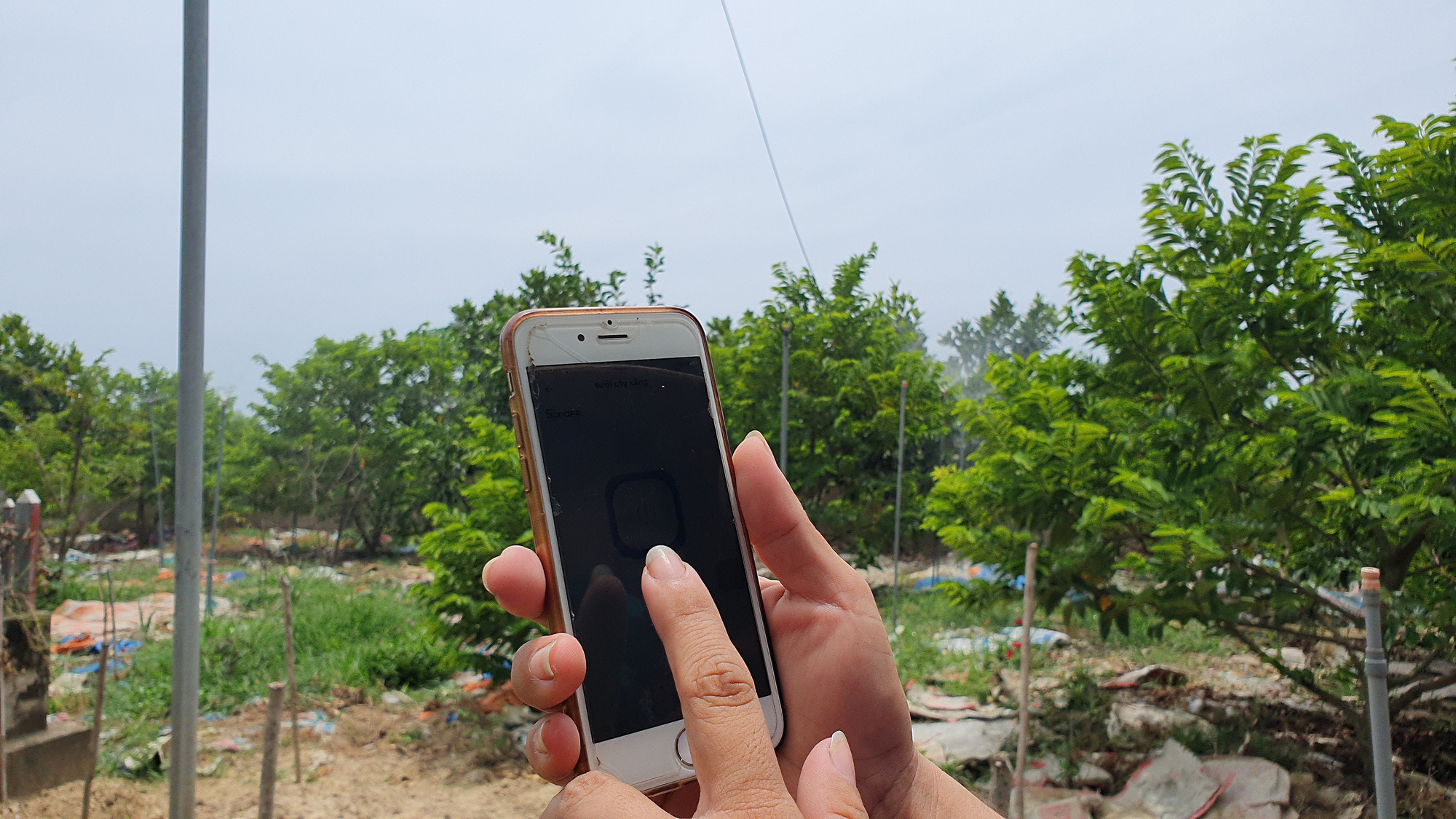 Hà Tĩnh: Nông dân tưới cây bằng smartphone vừa khoẻ, vừa hiệu qủa cao - Ảnh 2.