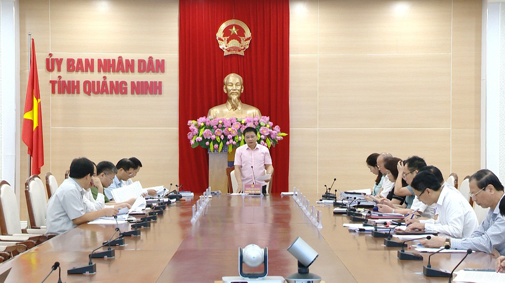 Quảng Ninh: Hủy thu hồi dự án vì 228 hộ dân góp vốn đứng ra bảo lãnh - Ảnh 1.