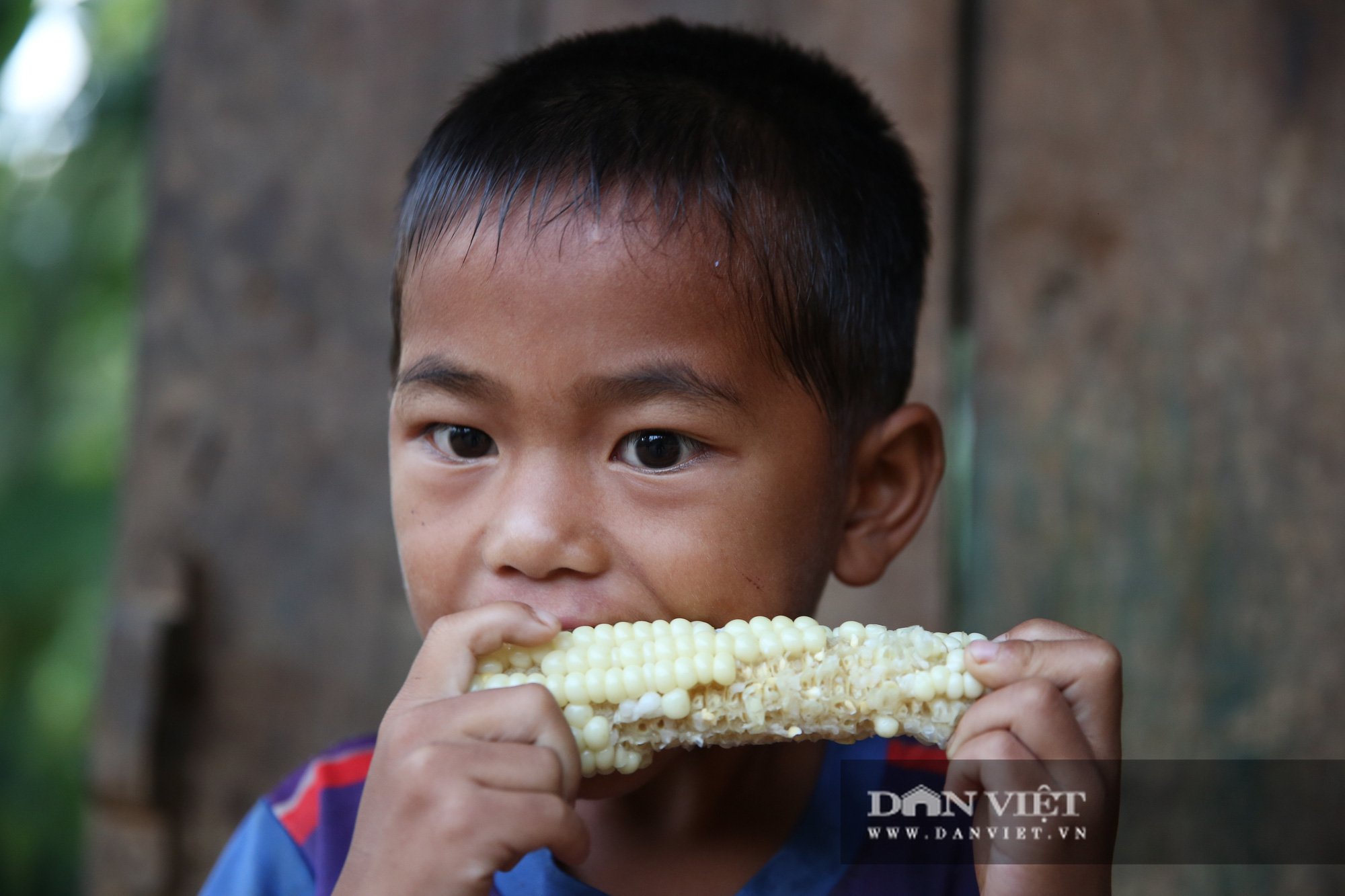 Nghẹn lòng những “bữa ăn” trên bản nghèo người Mông - Ảnh 7.