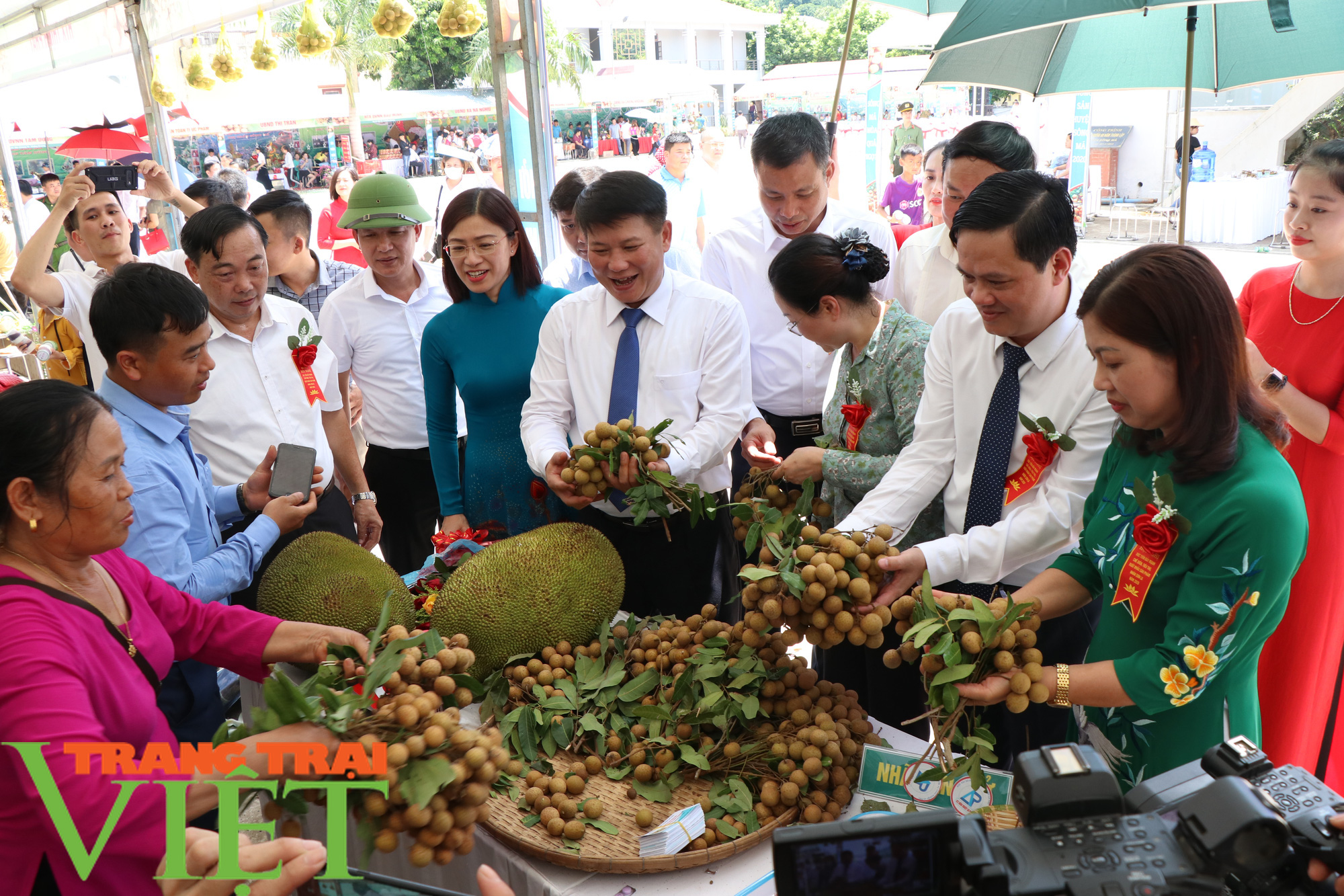 Sơn La: Xuất khẩu gần 30 tấn nhãn sang Trung Quốc - Ảnh 2.