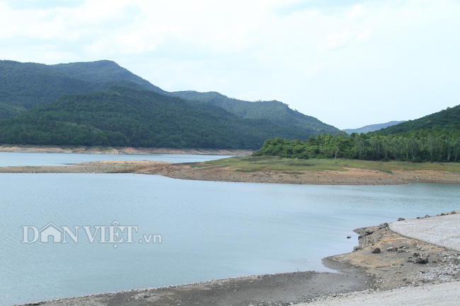 Quảng Ninh: Ruộng cạn khô, nứt nẻ, mạ gieo phải nhổ đi - Ảnh 4.