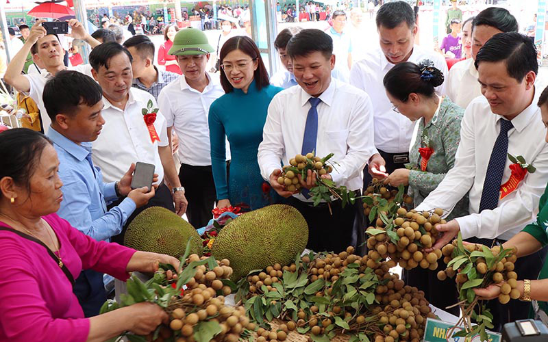 7 tháng đầu năm, Sông Mã xuất khẩu 80 tấn nhãn sang Trung Quốc - Ảnh 1.