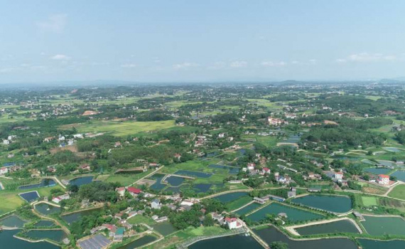Bắc Giang: Huyện Tân Yên đón Bằng công nhận huyện đạt chuẩn nông thôn mới - Ảnh 3.