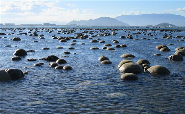 Ninh Thuận: Bất ngờ trước tuyệt tác rạn san hô hiện ra ngoài biển đẹp hơn cả trên phim - Ảnh 5.