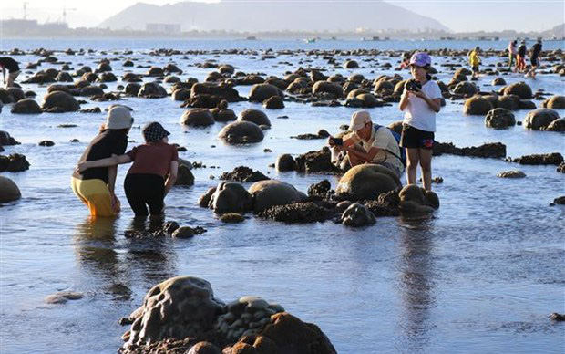 Ninh Thuận: Bất ngờ trước tuyệt tác rạn san hô hiện ra ngoài biển đẹp hơn cả trên phim