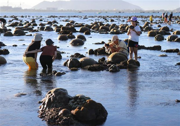 Ninh Thuận: Bất ngờ trước tuyệt tác rạn san hô hiện ra ngoài biển đẹp hơn cả trên phim - Ảnh 3.