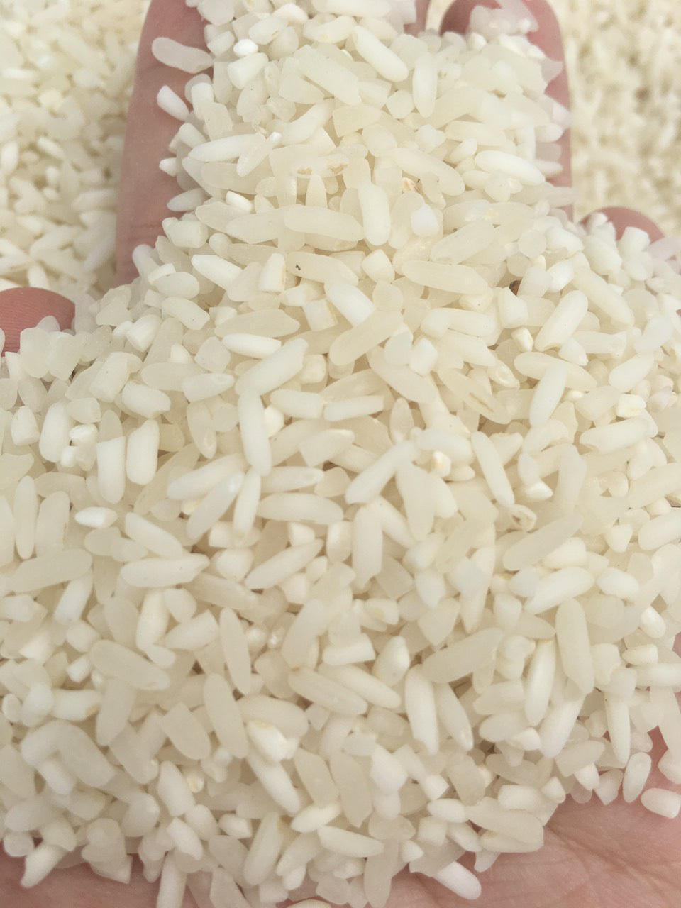 Nhà giàu Hà Nội đặt mua cả trăm cân gạo Séng Cù ăn dần - Ảnh 3.