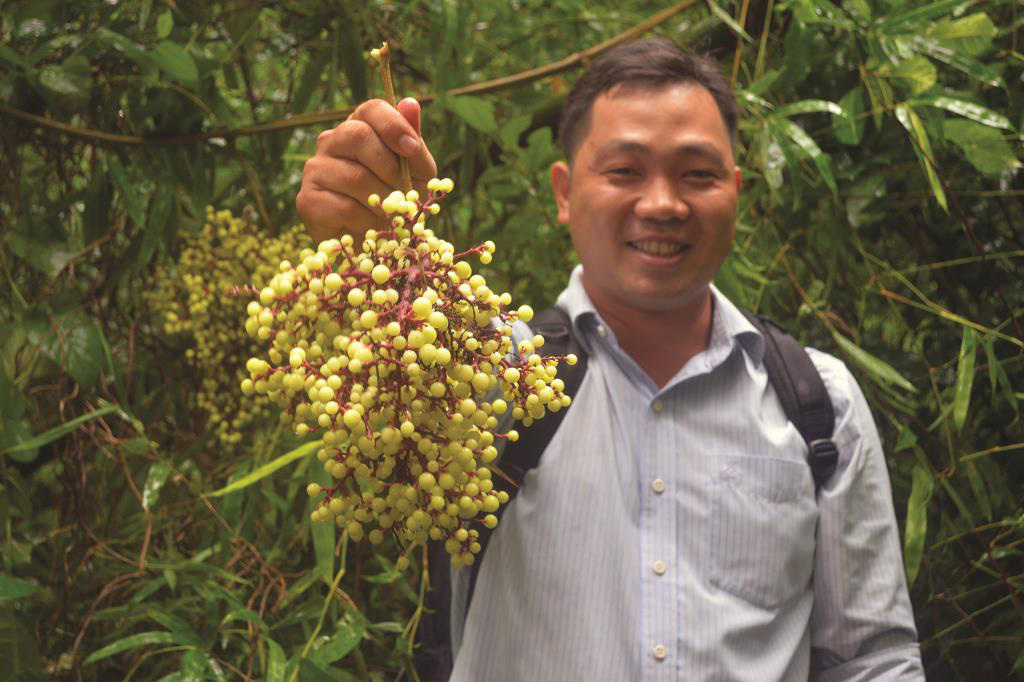 An Giang: Trái chồi mồi - đặc sản rừng phải không cao lương mỹ vị nhưng lại ẩn chứa tình quê - Ảnh 1.