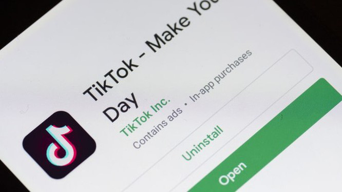 Nhóm hacker khét tiếng Anonymous kêu gọi người dùng gỡ TikTok - Ảnh 1.