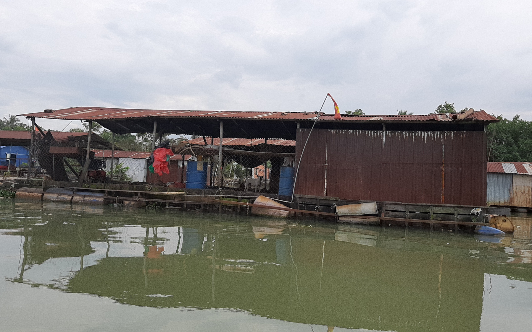 Đồng Nai: Truy tìm nguyên nhân hàng chục tấn cá bè chết trên sông Cái