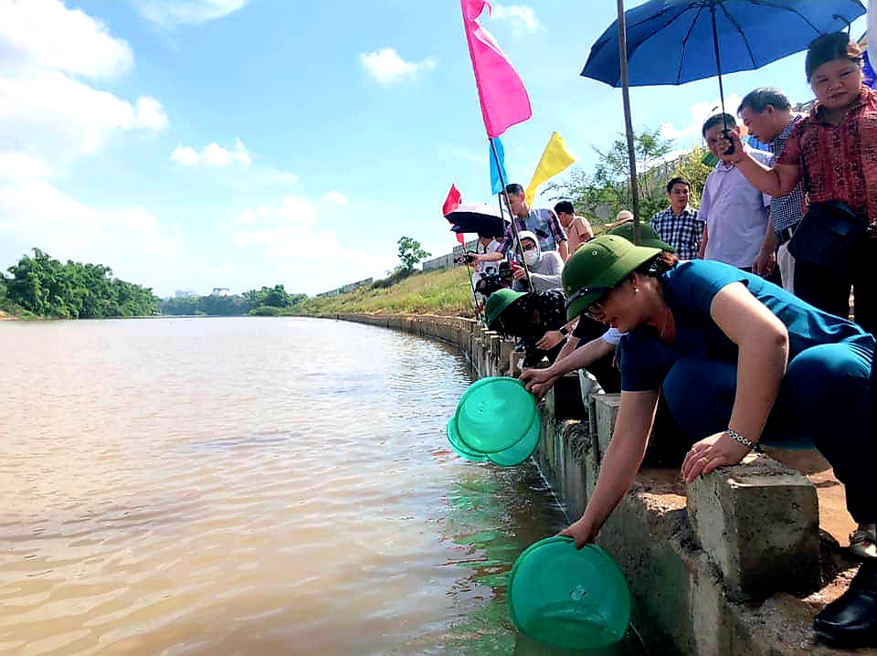 Lạng Sơn: Hơn 108.000 con cá giống được thả xuống sông Kỳ Cùng  - Ảnh 1.