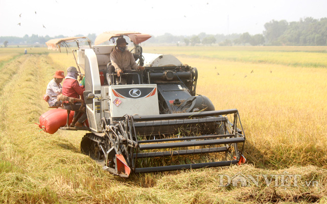 Xuất khẩu gạo trong EVFTA: Giới hạn cụ thể diện tích đồng ruộng phải kiểm tra chỉ tự ta làm khó nhau - Ảnh 3.