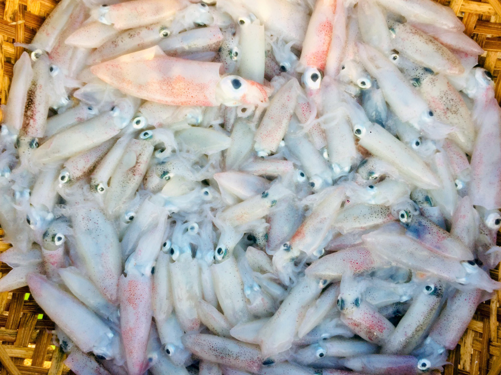 Phú Yên: Độc đáo, phiên chợ &quot;đầu mối&quot; bán cá tôm tươi rói ngay mép biển, họp nhanh tan cũng nhanh - Ảnh 6.