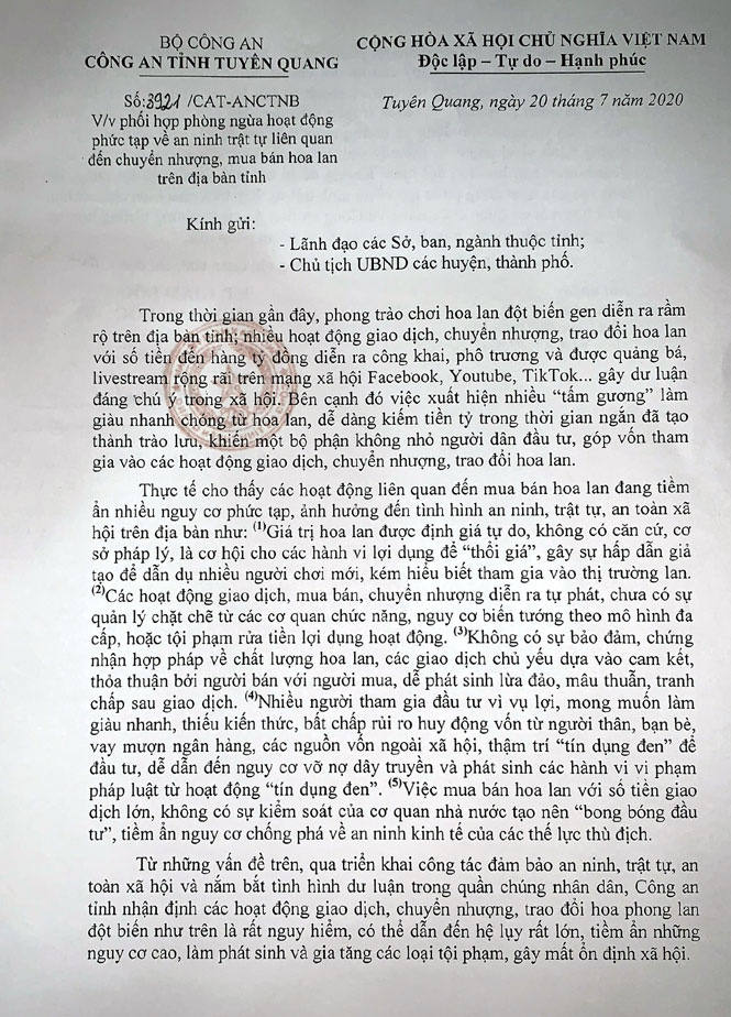 Đã có người nếm trái đắng vì lan đột biến, công an cảnh báo nguy cơ thổi giá, rửa tiền - Ảnh 2.