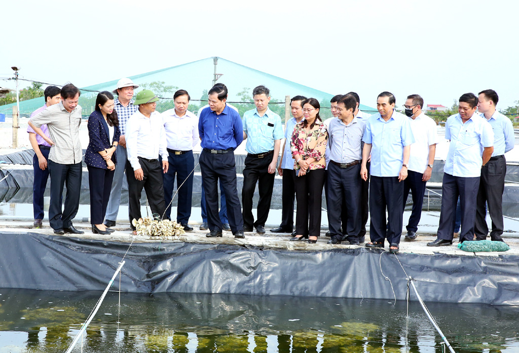 Một trang trại thu nhập 7 tỷ đồng từ nuôi hàu, tôm ở Ninh Bình được Bộ Trưởng NNPTNT tới thăm có gì đặc biệt? - Ảnh 2.