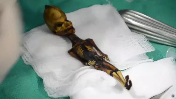 Các nhà khảo cổ &quot;chết lặng&quot; khi tìm thấy xác ướp bí ẩn giống người ngoài hành tinh - Ảnh 2.