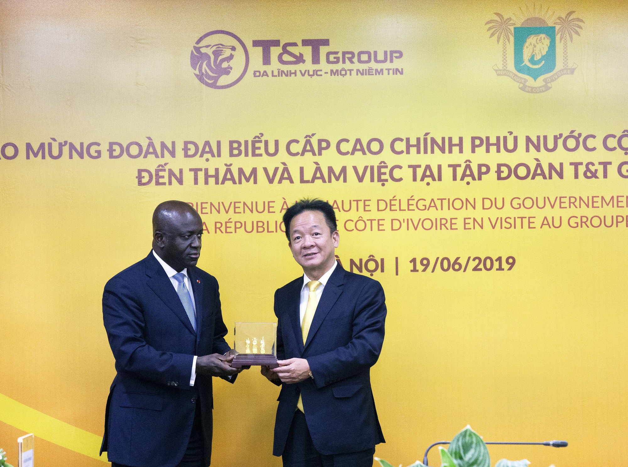 T&T Group thu mua toàn bộ sản lượng điều thô của Chính phủ Bờ Biển Ngà - Ảnh 2.