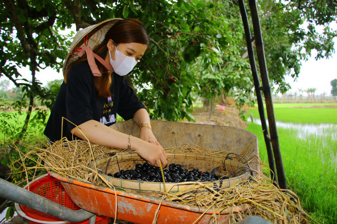 An Giang: Trái rừng đen sì xưa chỉ mọc hoang nay là hàng hiếm, có tiền cũng khó mua - Ảnh 6.