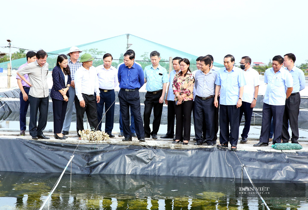 Bộ trưởng Nguyễn Xuân Cường: Tăng đầu tư phát triển kinh tế biển, tạo động lực bền vững cho nông nghiệp - Ảnh 2.