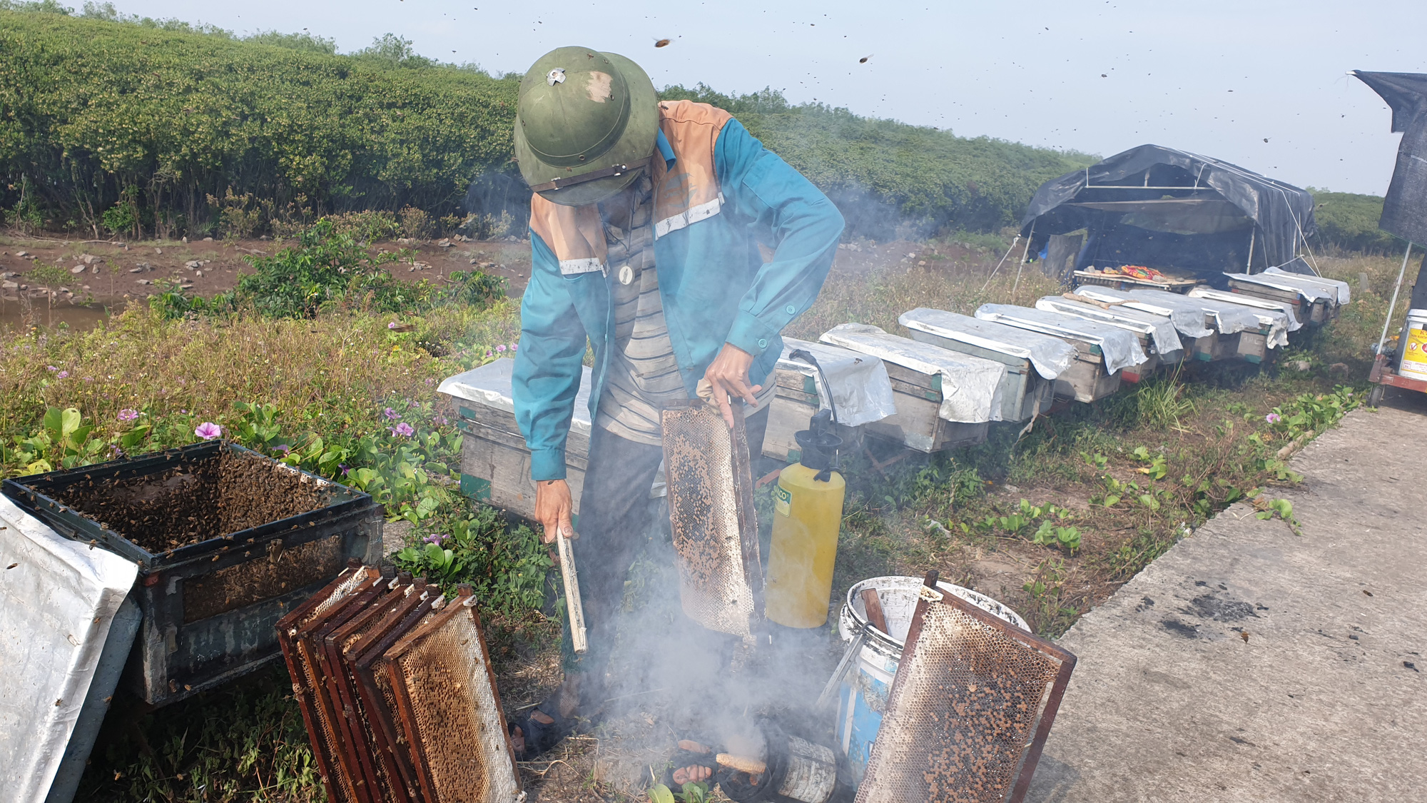 Tìm mật ngọt của biển giữa những ngày nắng gắt, bỏ túi tiền triệu mỗi ngày - Ảnh 6.