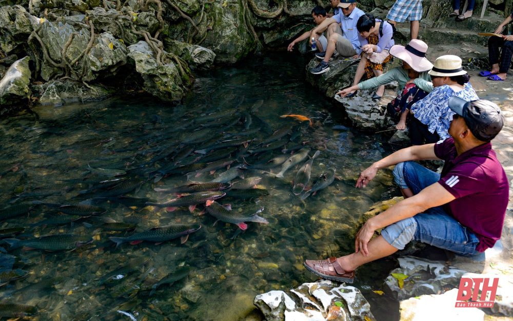 Thanh Hóa: Dòng suối ngầm và đàn “cá thần” linh thiêng, có con nặng tới 30kg - Ảnh 2.