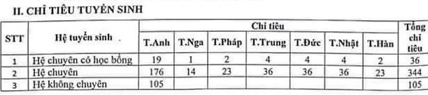 4.000 thí sinh thi chuyên ngoại ngữ: Phụ huynh không đặt nặng áp lực &quot;phải đỗ&quot; - Ảnh 3.