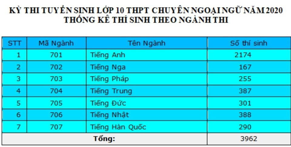 4.000 thí sinh thi chuyên ngoại ngữ: Phụ huynh không đặt nặng áp lực &quot;phải đỗ&quot; - Ảnh 2.