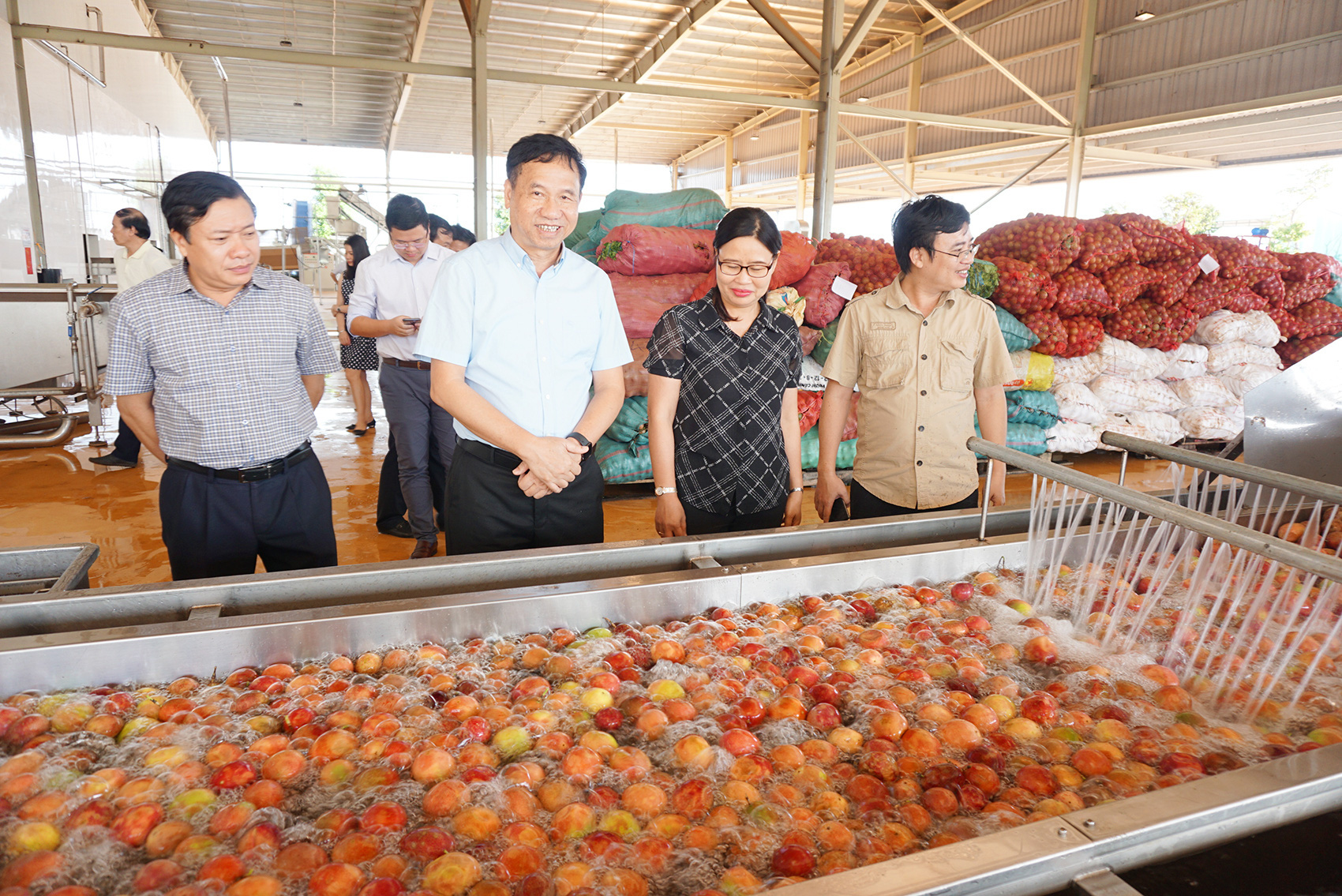 Nâng tầm cây chanh leo Việt Nam với thế giới - Ảnh 3.