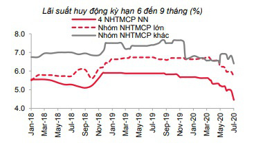 Ngân hàng thừa tiền, lãi suất tiền gửi sắp tới sẽ đi ngang? - Ảnh 3.