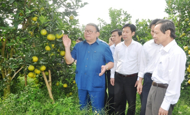 Thanh Hóa 68.759 hội viên nông dân sản xuất, kinh doanh nông sản cam kết bảo đảm  an toàn vệ sinh thực phẩm - Ảnh 1.