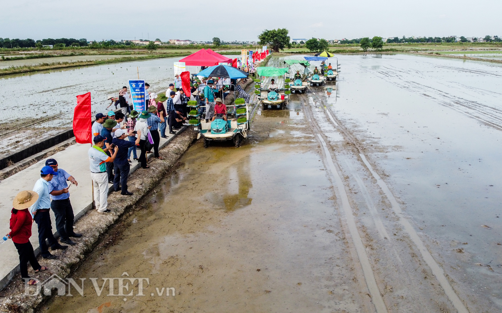 Hải Dương: Lần đầu tiên trình diễn máy cấy lúa trên đồng ruộng - Ảnh 5.