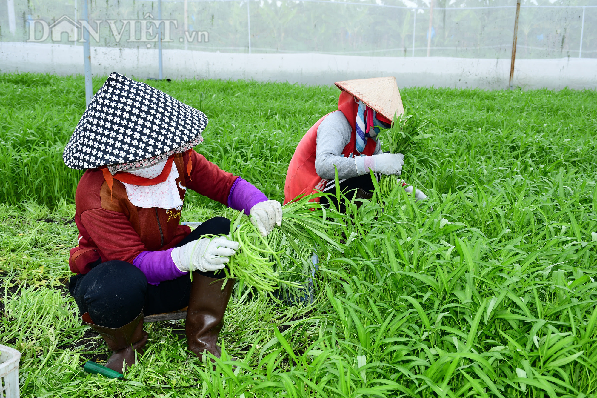 Bộ Nội vụ báo cáo về việc các cơ quan chức năng tỉnh Bình Dương thanh tra, kiểm tra Công ty Cổ phần Vinamit  - Ảnh 2.