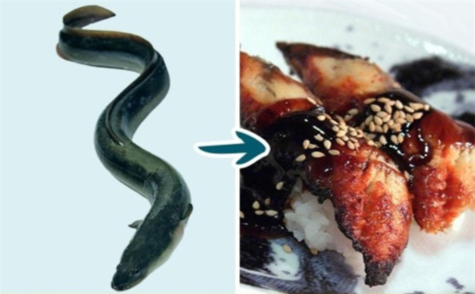 7 loại cá mà bạn nên hạn chế ăn, loại thứ 4 rất nhiều người vẫn ăn thường xuyên 7-loai-ca-ma-ban-nen-han-che-an5-1597045982988-15970459829881925214111