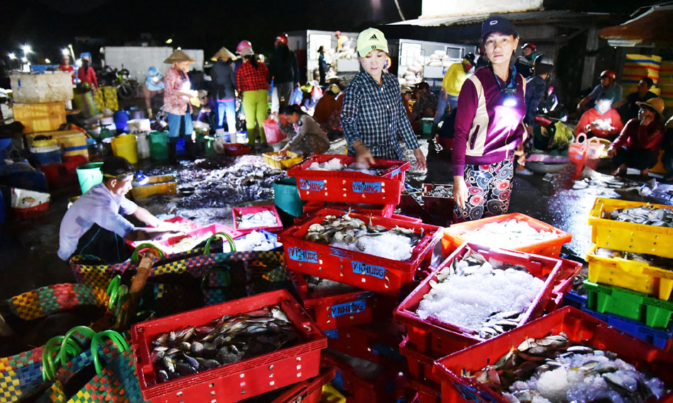 Phú Yên: Chợ đèn pin mà đâu có bán đèn, bán pin, toàn bán những loài tanh tanh trong bóng tối - Ảnh 1.