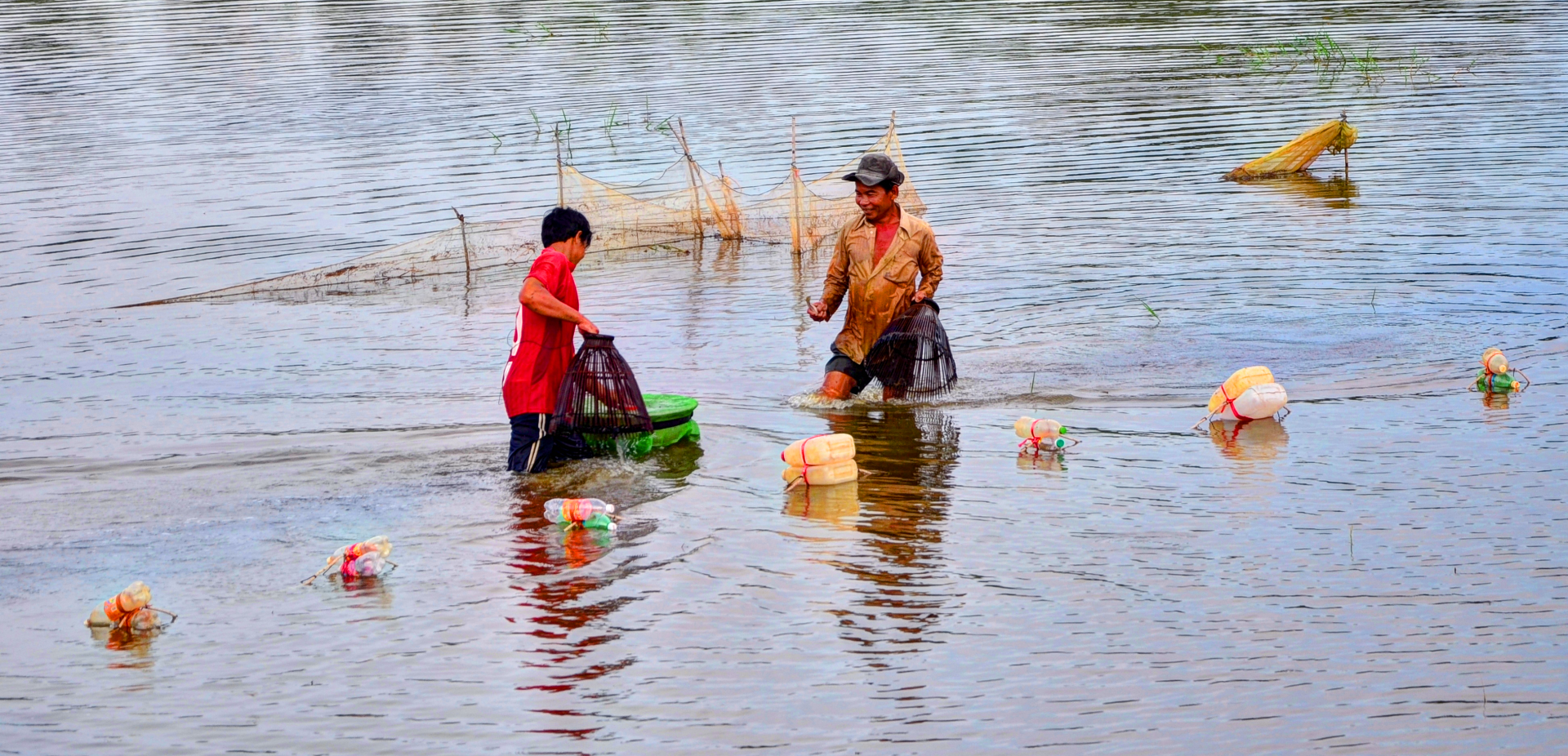 Mùa đặt trúm bắt lươn đồng tươi rói - Ảnh 1.